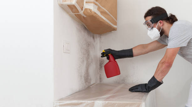 Professional Bathroom Mold Removal technician working in Crownsville, MD