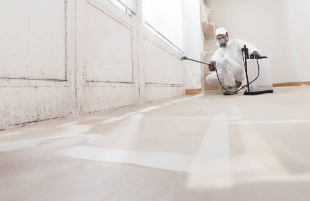 24/7 Emergency Bathroom Mold Removal experts in Crownsville, MD