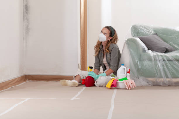 Reliable Bathroom Mold Removal contractor in Crownsville, MD by WQB Mold Removal